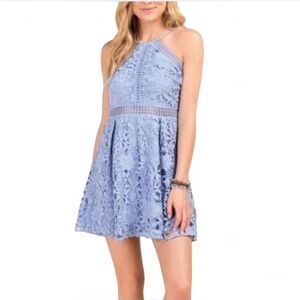 Blue Lace Mini Dress Francesca’s Collections